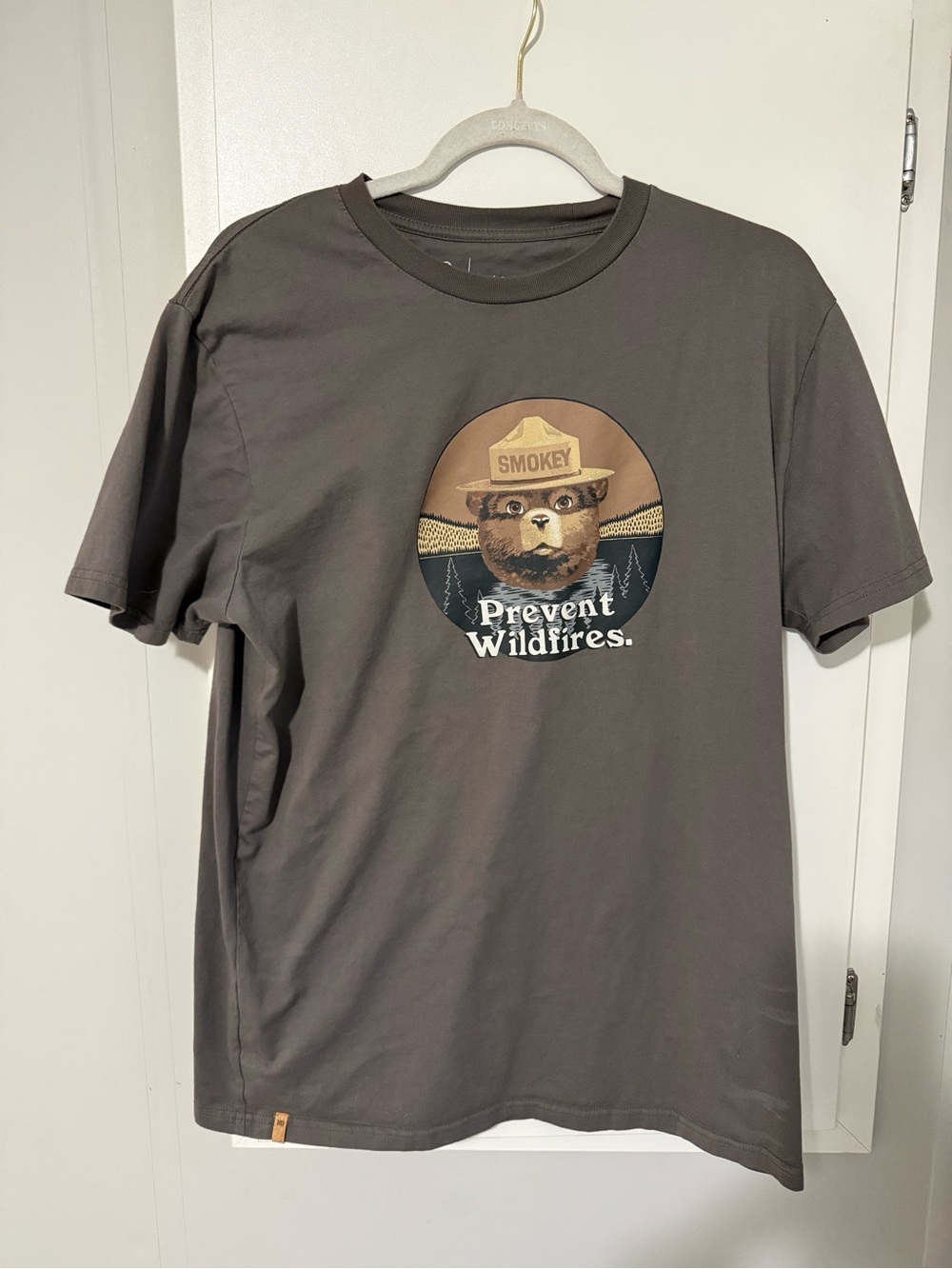 159. Tentree Men’s 'Prevent Wildfires' Short-Sleeve T-Shirt- Charcoal Cabincore